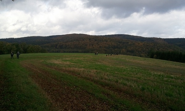 Landschaft in Thüringen